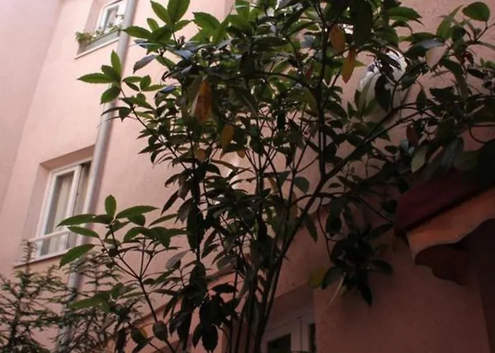 Hotel Aladin 2*